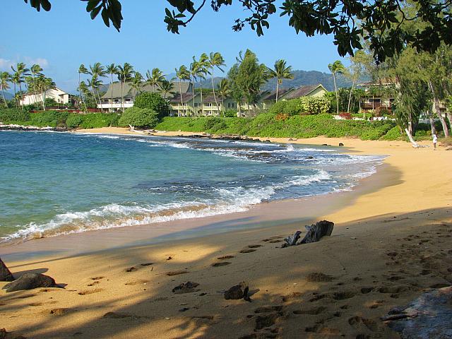 201501 Hawaii 012