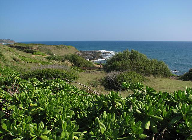 201501 Hawaii 030