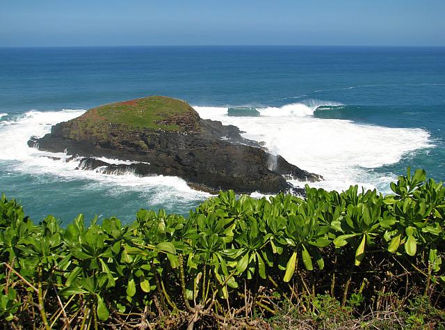 201501 Hawaii 050