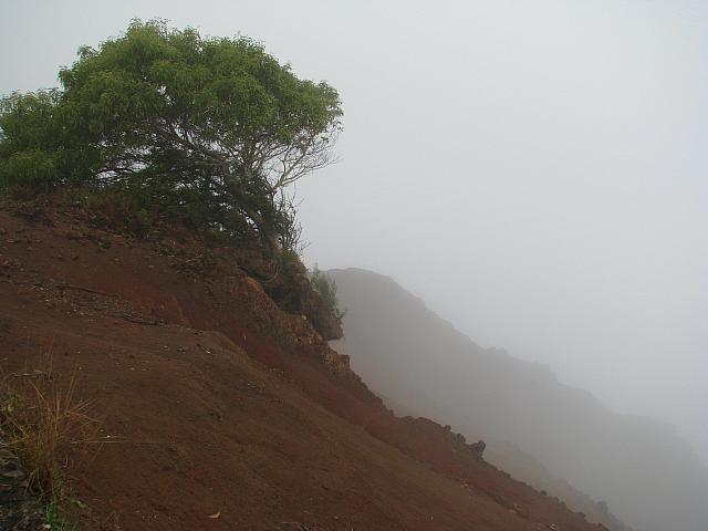 201501 Hawaii 113