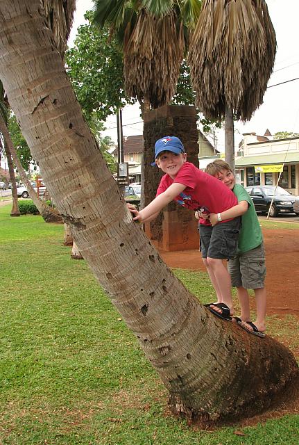 201501 Hawaii 126
