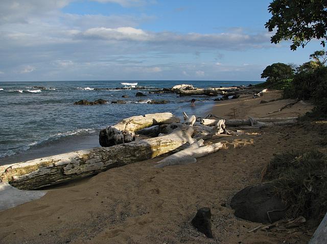 201501 Hawaii 139