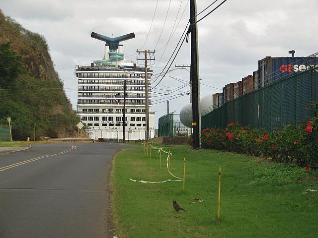 201501 Hawaii 258