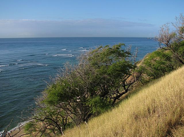 201501 Hawaii 354