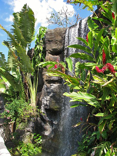 201501 Hawaii 401