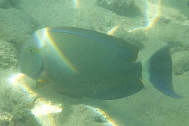 201501 Hawaii 840