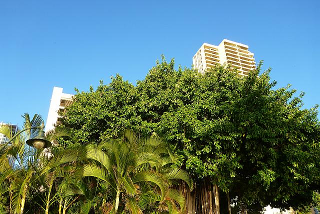 201501 Hawaii 994