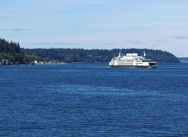 201509OlympicPeninsula 010