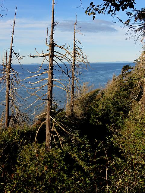 201509OlympicPeninsula 041