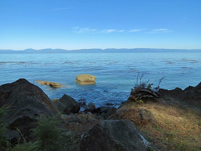 201509OlympicPeninsula 061
