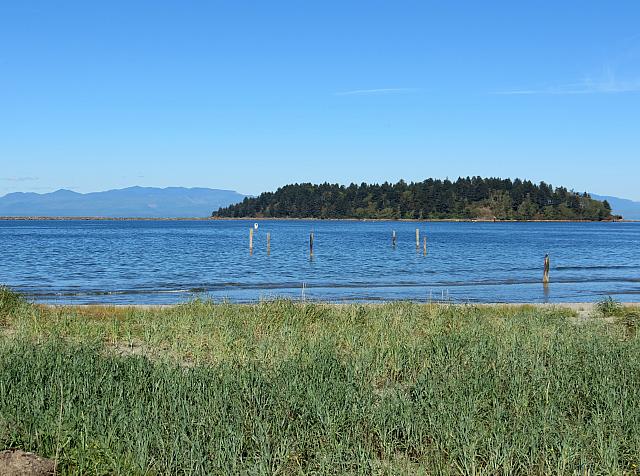 201509OlympicPeninsula 069