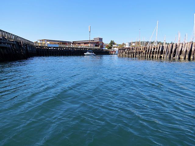 201509OlympicPeninsula 083