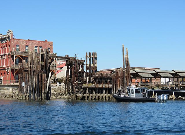 201509OlympicPeninsula 101