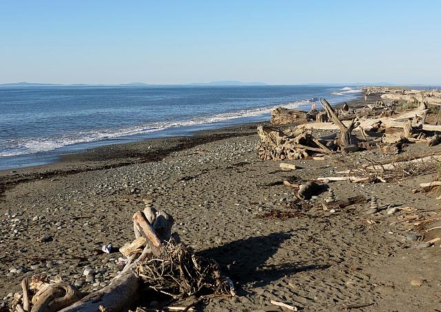 201509OlympicPeninsula 132