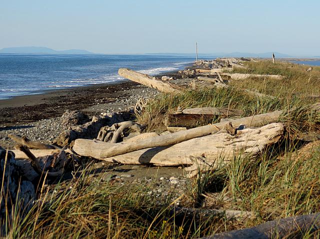 201509OlympicPeninsula 143