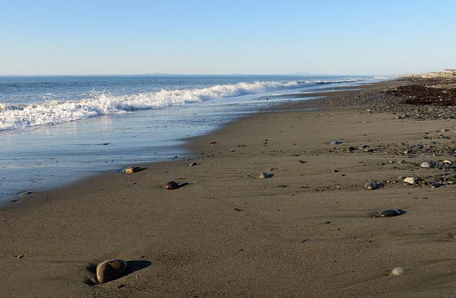 201509OlympicPeninsula 148