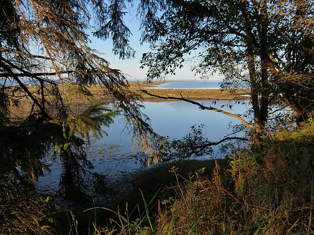 201509OlympicPeninsula 158
