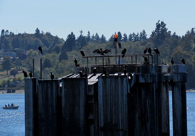 201509OlympicPeninsula 172