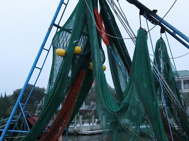 201511 Trip 175
