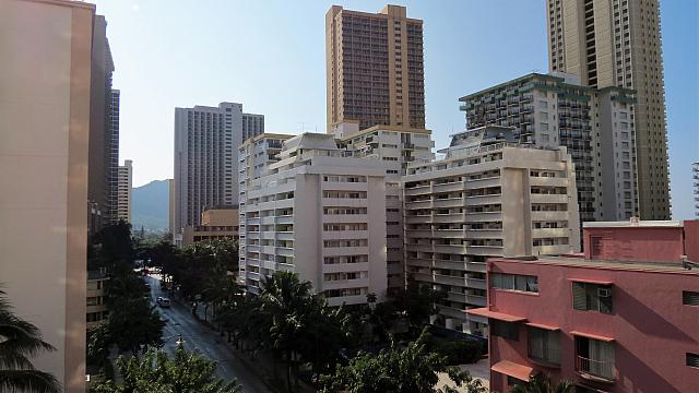 IMG 3965