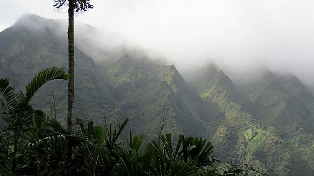 IMG 4124