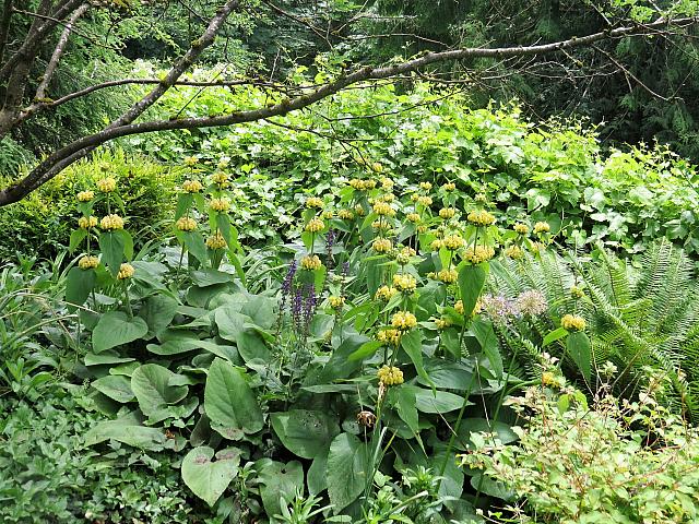 IMG 5551