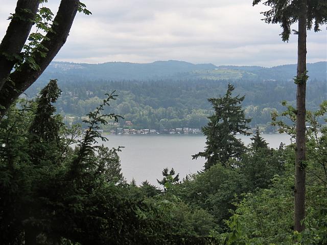 IMG 5556