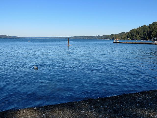 IMG 6014