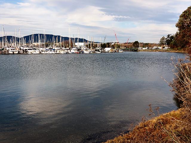 IMG 6170