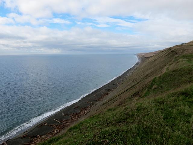 IMG 6208