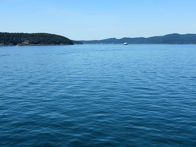 IMG 7340