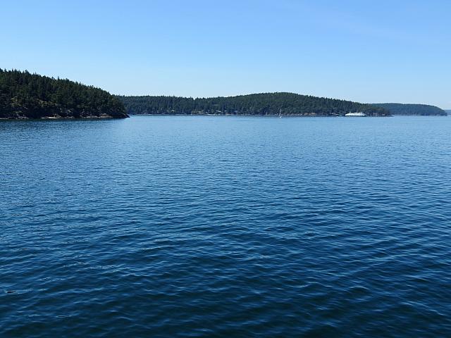 IMG 7341