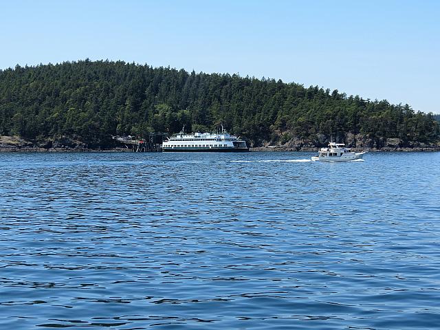 IMG 7343