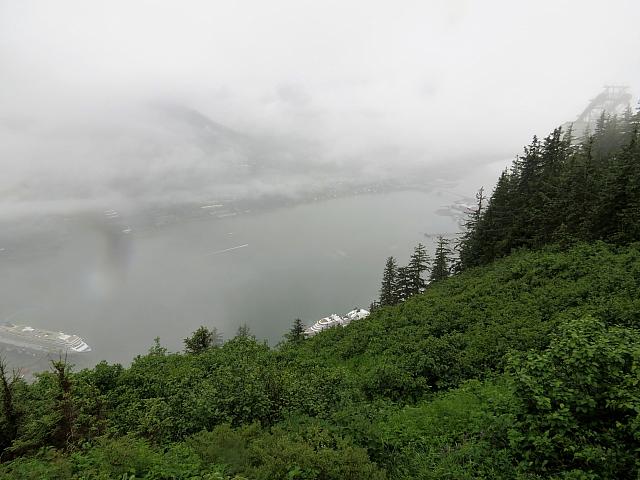 IMG 7691