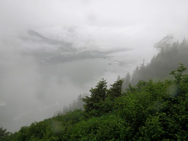 IMG 7695