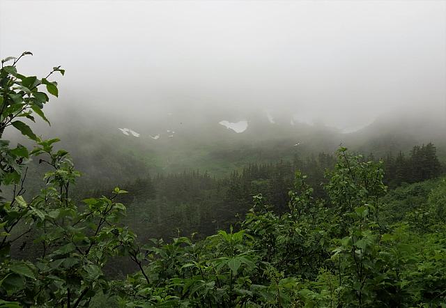 IMG 7696