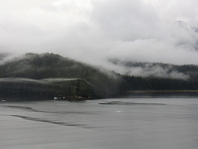 IMG 7735