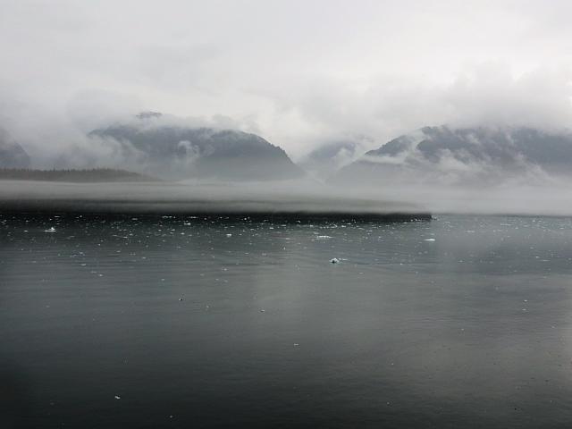 IMG 7736