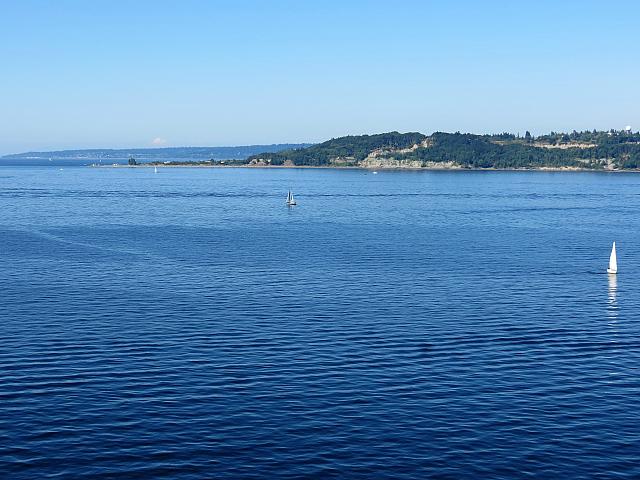 IMG 7544