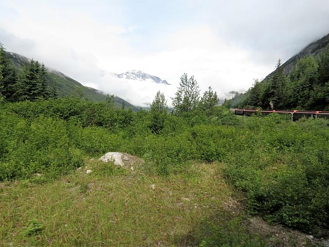 IMG 7788