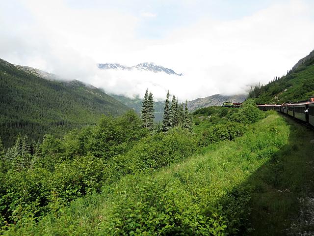 IMG 7794