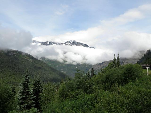 IMG 7796