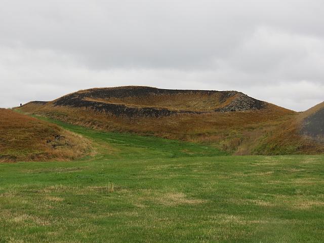 IMG 9081