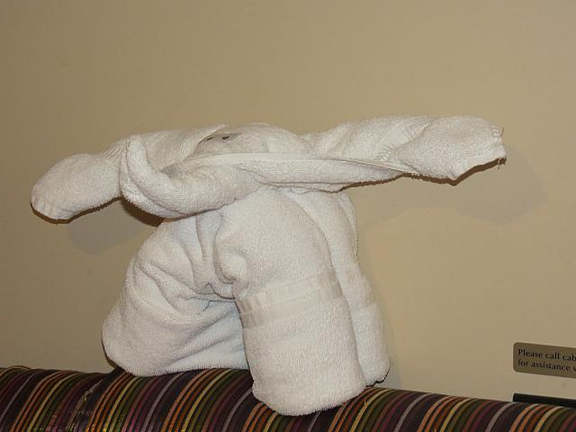 IMG 9181