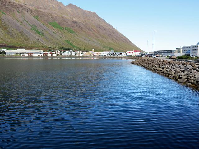 IMG 9233