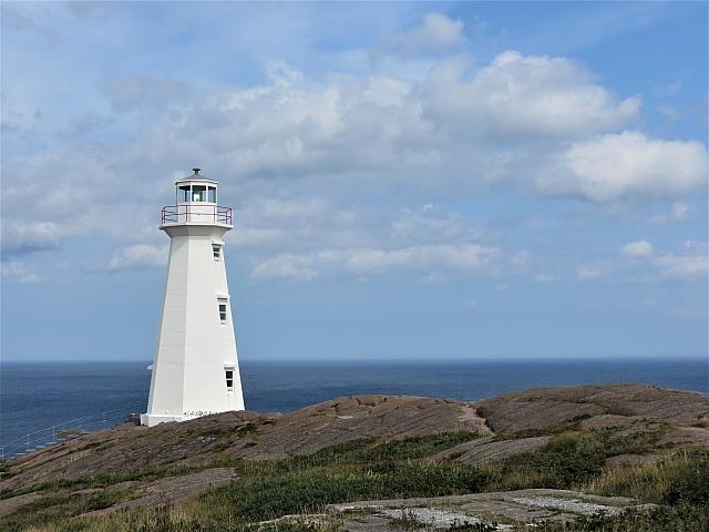 IMG 0019