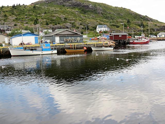 IMG 0048