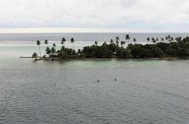 IMG 4713
