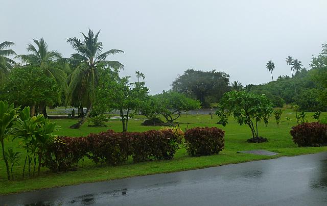 P1130089