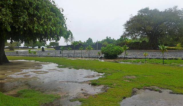 P1130092